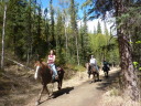 horseback riding down the trail